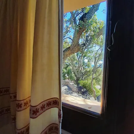 Charming With Sea View Cannigione