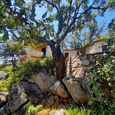 Charming With Sea View Villa