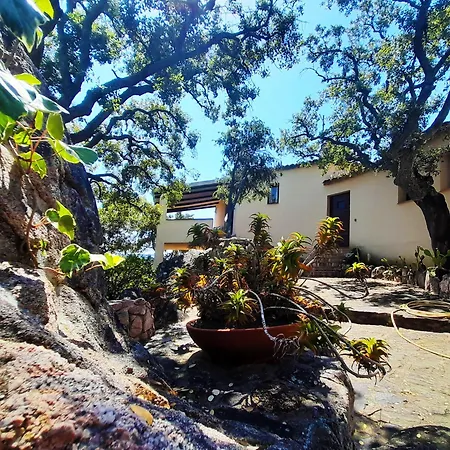 Villa Charming With Sea View Cannigione
